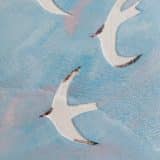 Arctic Terns - Image 4