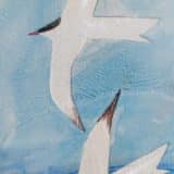 Arctic Terns - Image 3