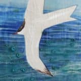 Arctic Terns - Image 4