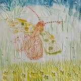 Garden Moth - Image 4